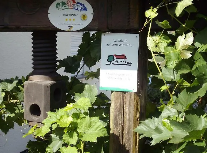 Sandra Müller Frühstückspension 3*